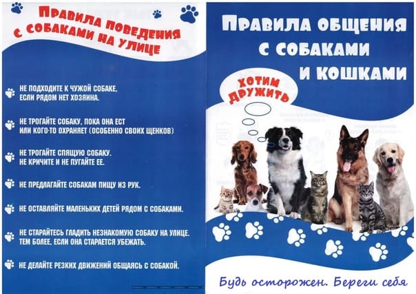 Изображение 0